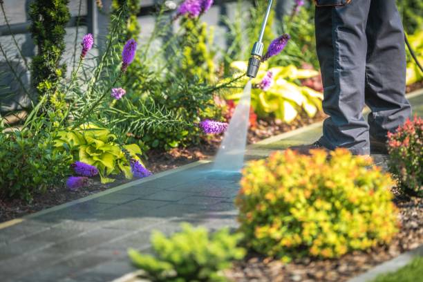 Best Concrete Surface Cleaning in Benton, IL